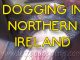 Dogging in Northern Ireland