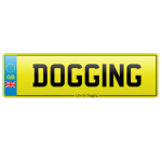 Lets go dogging logo
