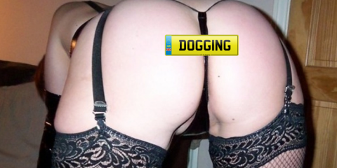 Staffordshire Dogging