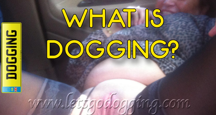 What is dogging? Anonymous sex uncovered