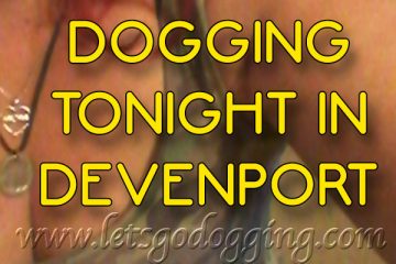 Hands up who would like to go dogging tonight in Devonport