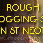 Rough dogging sex in St Neots