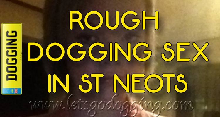 Rough dogging sex in St Neots