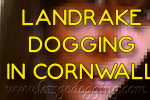 The Landrake Dogging scene is alive
