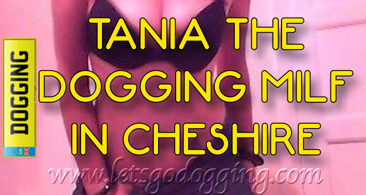 Who goes dogging in Cheshire? Join 40 year old Tania for sex fun