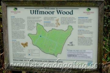 Doggers cause closure of Uffmoor Wood.