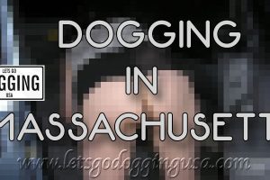 Dogging in Massachusetts
