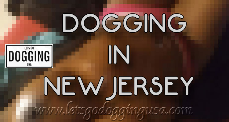 Dogging in New Jersey