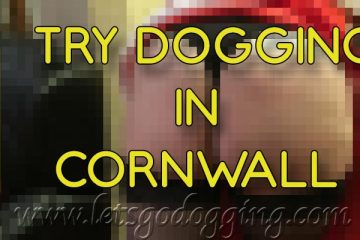 Try dogging in Cornwall
