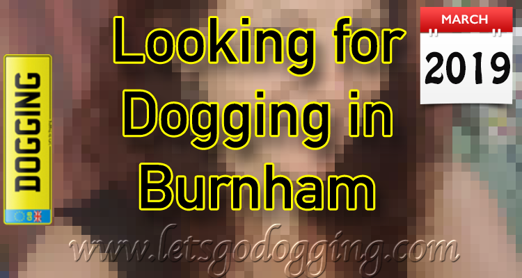 Looking for dogging in Burnham