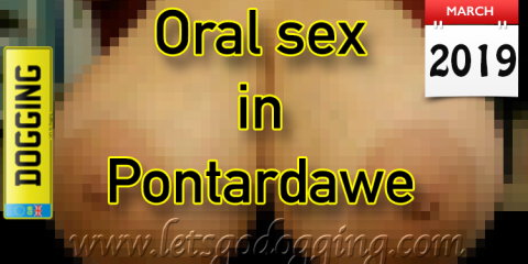 Nadia, 37 is offering oral sex in Pontardawe
