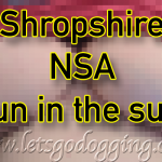 Shropshire no strings fun